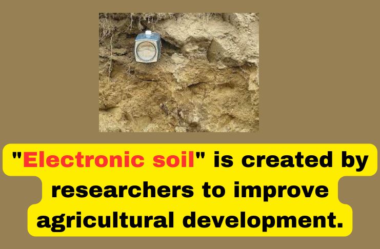 Electronic soil